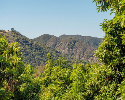 Camaron Road, Temecula