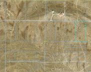 Leaping Lizard, Apple Valley image