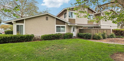819 Shelter Cove Way, Oceanside