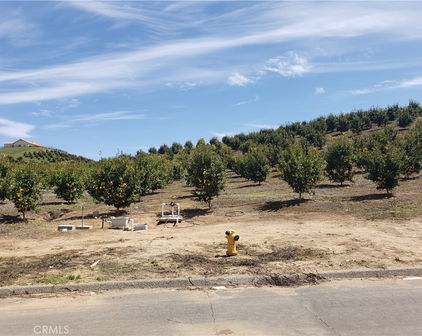 7 Calle Jardin, Temecula