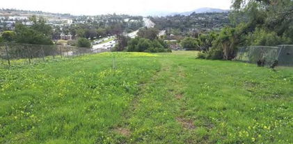 538 Plumosa Ave, Vista
