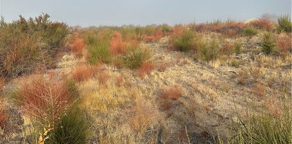 73 Rocky Knoll Road, Hemet