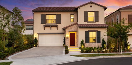 52 Longchamp, Irvine