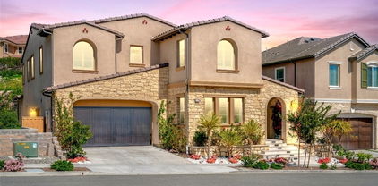 5437 Heritage Oak Drive, Lake Forest