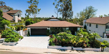 24942 Del Monte Street, Laguna Hills