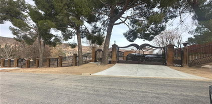 39954 90th Street W, Leona Valley