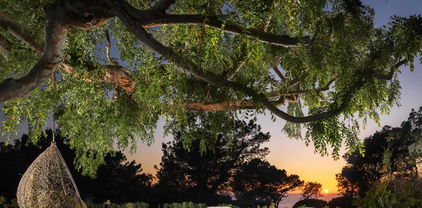 327 Pine Needles Dr, Del Mar