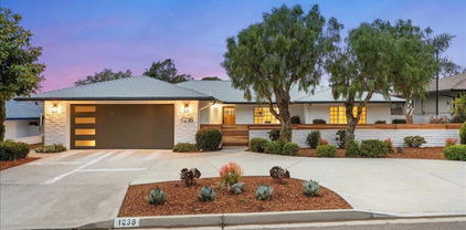 1238 San Julian Dr, San Marcos