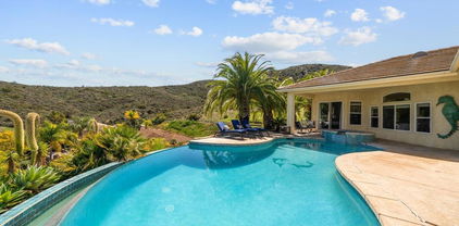 2945 Stonefield Drive, Jamul