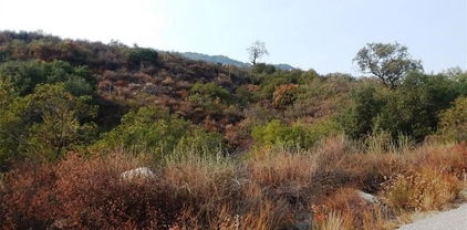 Carancho Road, Temecula