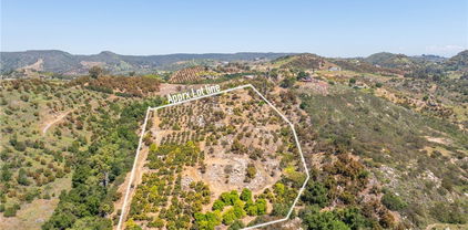 Las Palmeras drive, Temecula