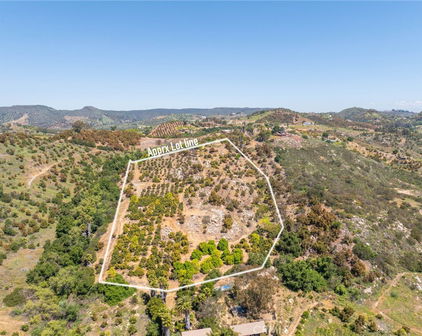 Las Palmeras drive, Temecula