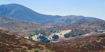 Buckskin/Stag, Temecula