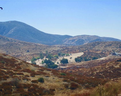 Buckskin/Stag, Temecula