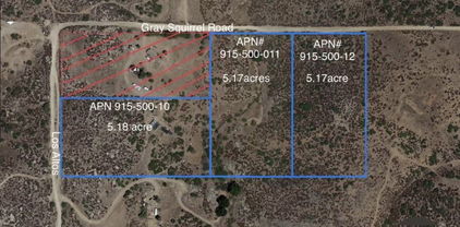 12 Lot 10, 11, 12 Grey Squirrel/Arcola Rd, Hemet