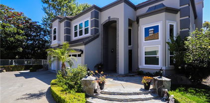 26962 Willow Tree Lane, Laguna Hills