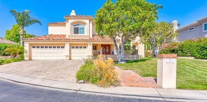 10140 Morningstar Circle, Villa Park
