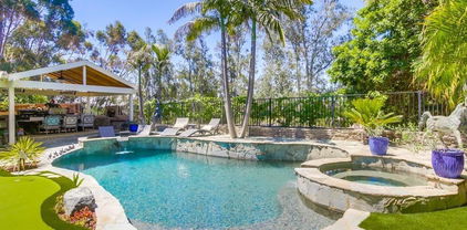10616 Falcon Rim Pt, Scripps Ranch