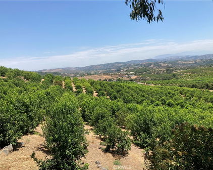 39 Carancho Road, Temecula