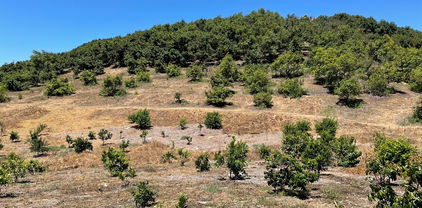 2 Via Vaquero, Temecula