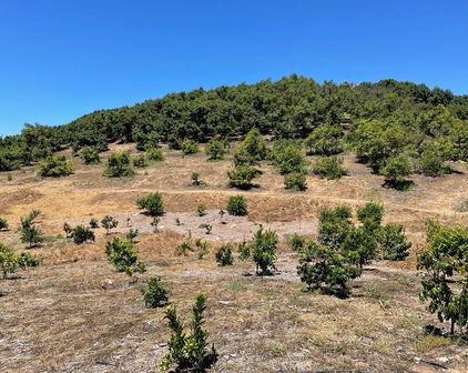 2 Via Vaquero, Temecula