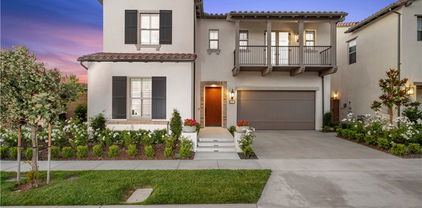 109 Hyperion, Irvine