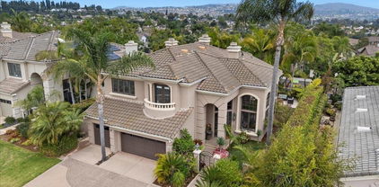 7166 Tern Place, Carlsbad