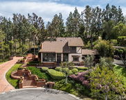6605 E Canyon Hills Road, Anaheim Hills image
