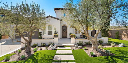 1 Drackert Lane, Ladera Ranch