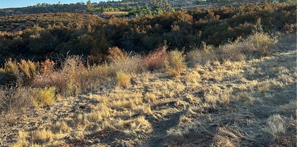 51 Madera Drive, Hemet