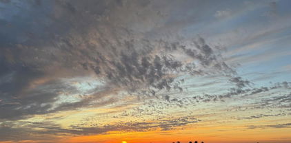 7133 Linden, Carlsbad