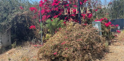 1624 Siddall Drive, Vista