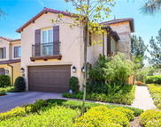 64 Painted Cameo, Irvine image