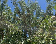 Russell, Firebaugh image