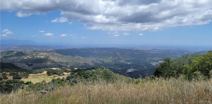 Lions Lair, Murrieta