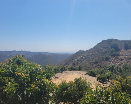 Los Gatos, Temecula