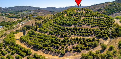 Carancho, Temecula