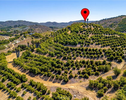 Carancho, Temecula