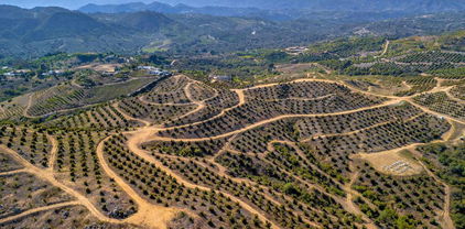45000 Rancho Fallbrook Road, Temecula