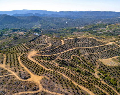 45000 Rancho Fallbrook Road, Temecula