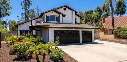 12709 Treeridge Ter, Poway