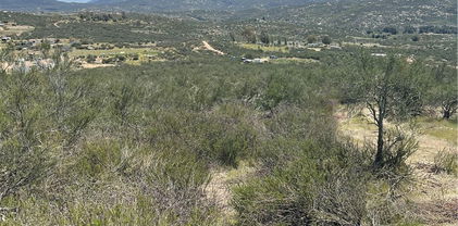 55 Madera Drive, Hemet