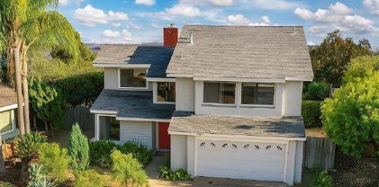 201 MEADOW VISTA WAY, Encinitas