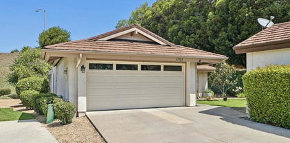 1783 Calle Del Arroyo, San Marcos