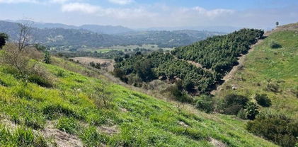 20 Terreno Drive, Temecula