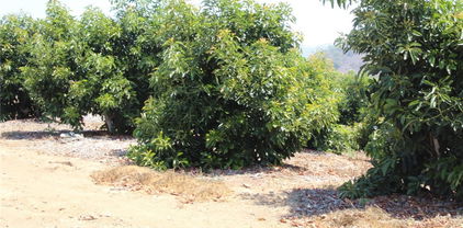 4 Via Vaquero Road, Temecula