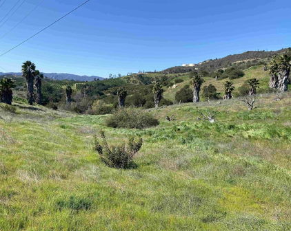 21722 Carancho Road, Temecula