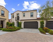 134 Halo, Irvine image
