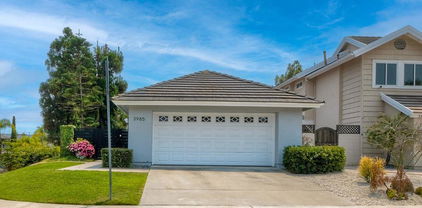 3985 Carmel Springs Way, San Diego