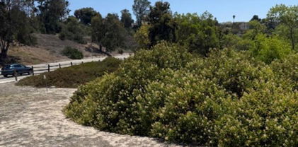 Otay Lake Road, Bonita